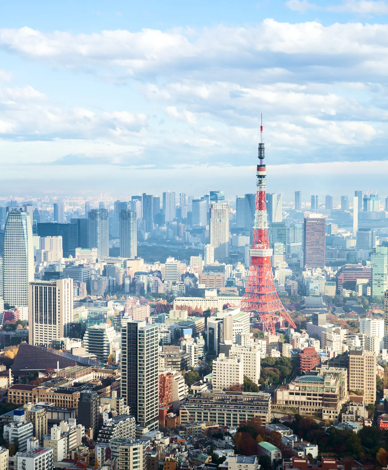 東京タワーを望む都心の街並み