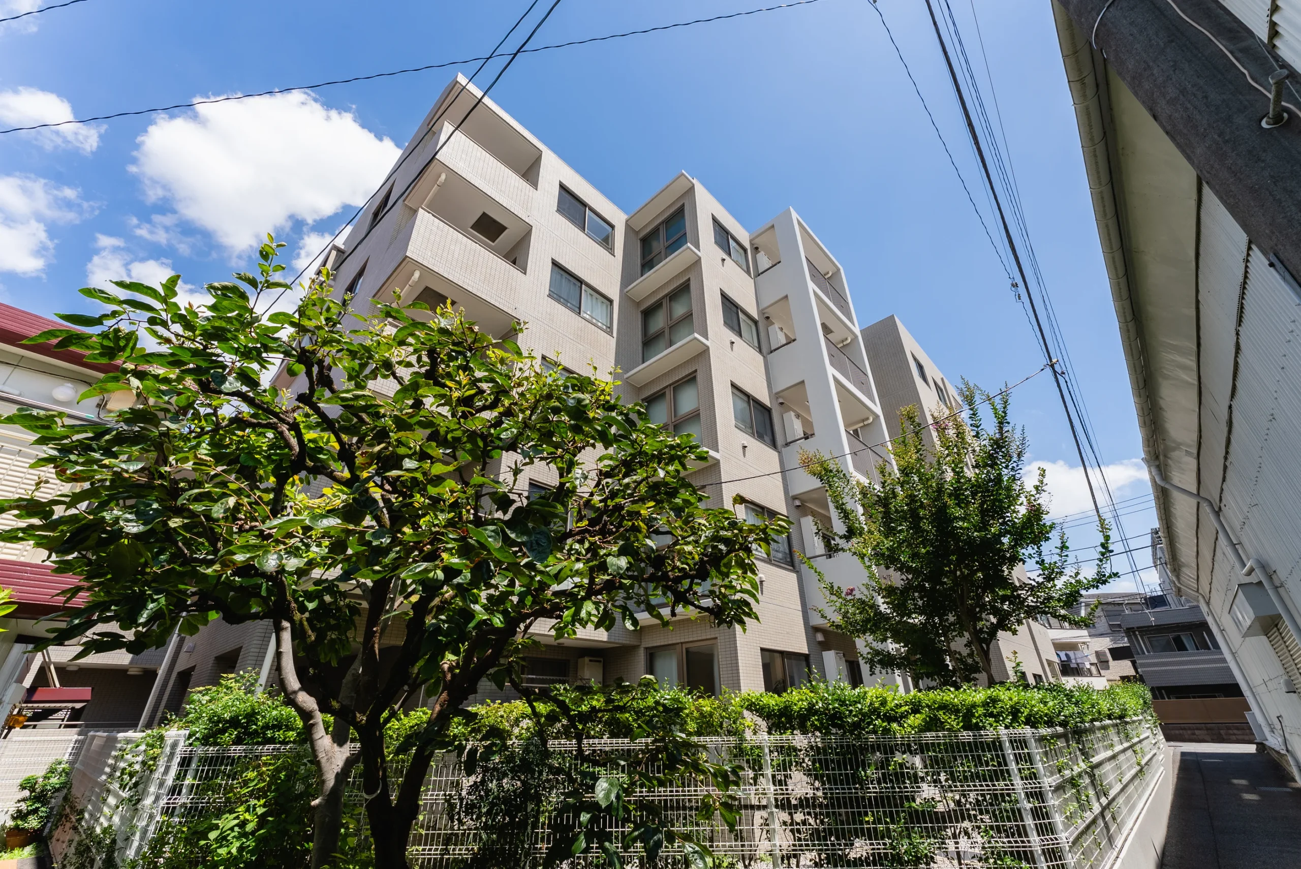 【ヒルズ池尻東山公園】緑と静けさに癒される