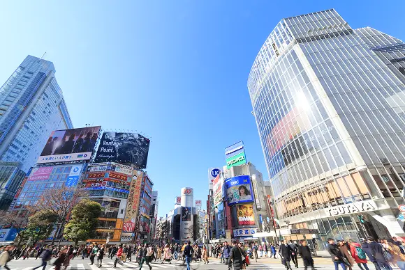 渋谷・代々木・恵比寿・目黒・代官山の街並み